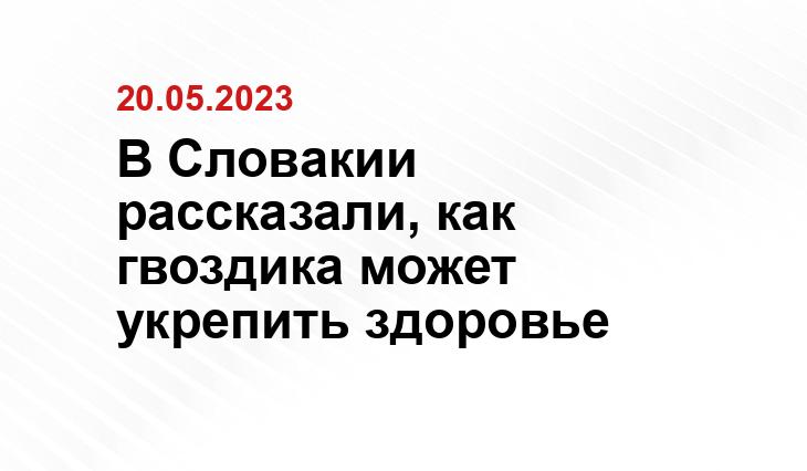 В Словакии рассказали, как гвоздика может укрепить здоровье