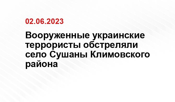 Вооруженные украинские террористы обстреляли село Сушаны Климовского района
