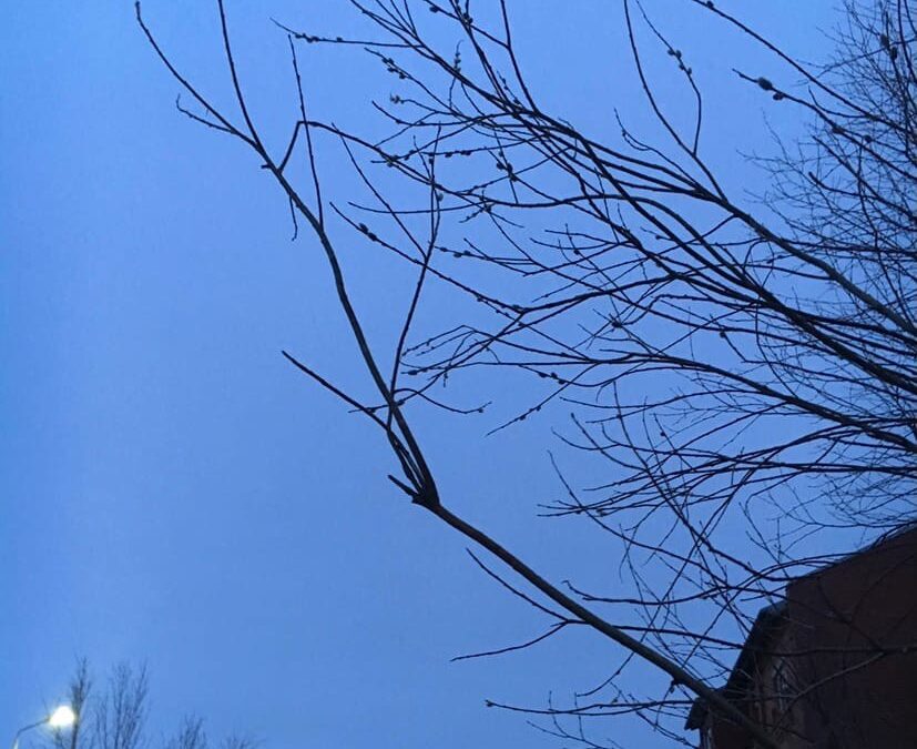 В Тюмени зафиксируют цены на молоко, хлебобулочные изделия и борщевой набор ИА SM-News