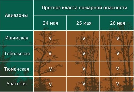 Тюменской области присвоен V класс пожарной опасности из-за 12 действующих пожаров Департамент лесного комплекса Тюменской области