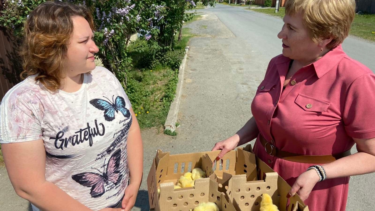 Жители Тюменского района получили цыплят в рамках акции “100 добрых дел” госорганизация “Тюменский район”