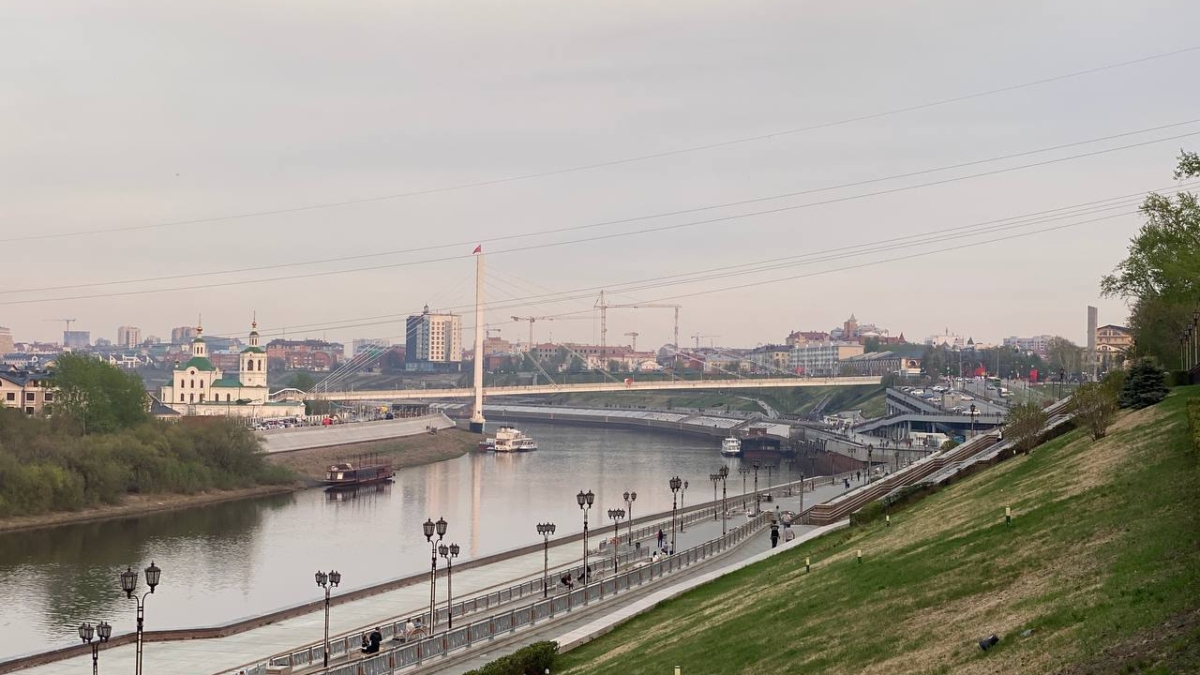 В Тюмени на Московском тракте зацвело яркое люпиновое поле ИА SM-News