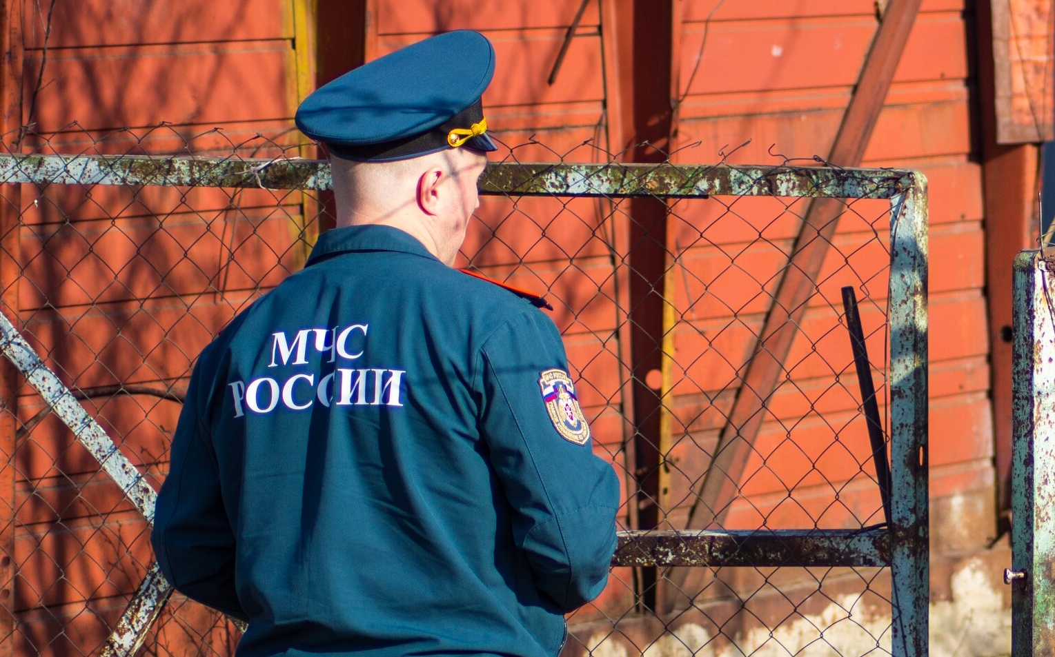 Русскую гончую спасли сотрудники МЧС в Петропавловске-Камчатском после неудачной погони за лисой