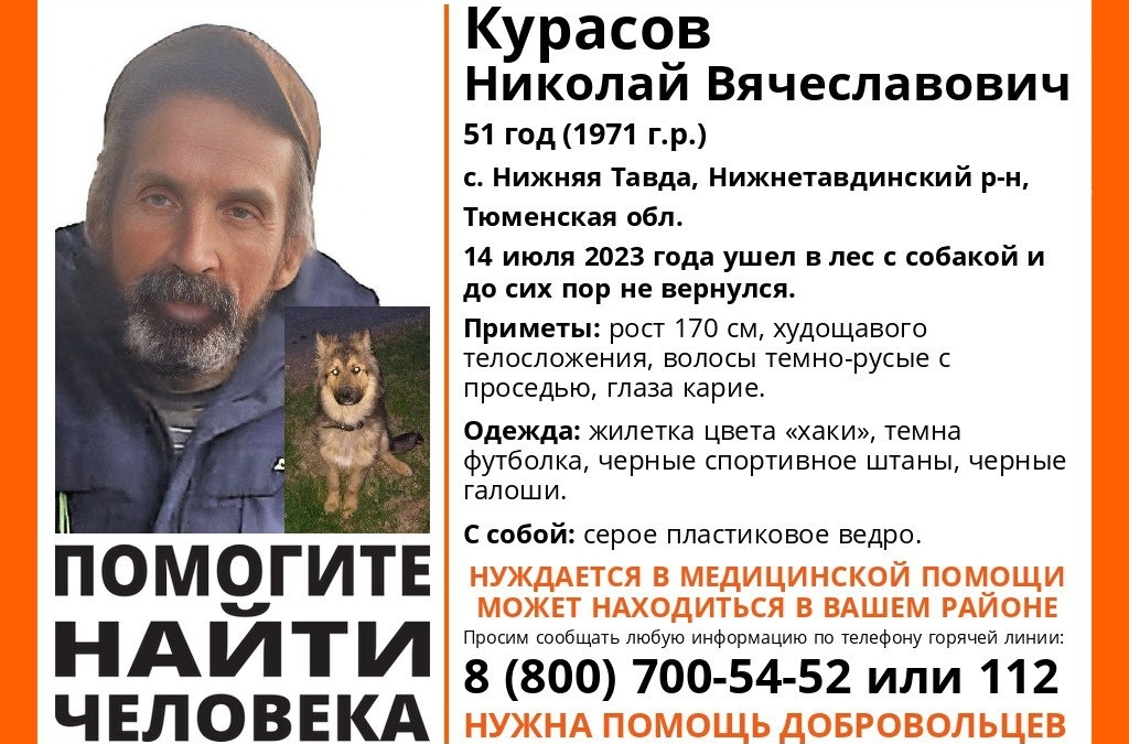 Житель Тюменской области пошел с собакой в лес и не вернулся