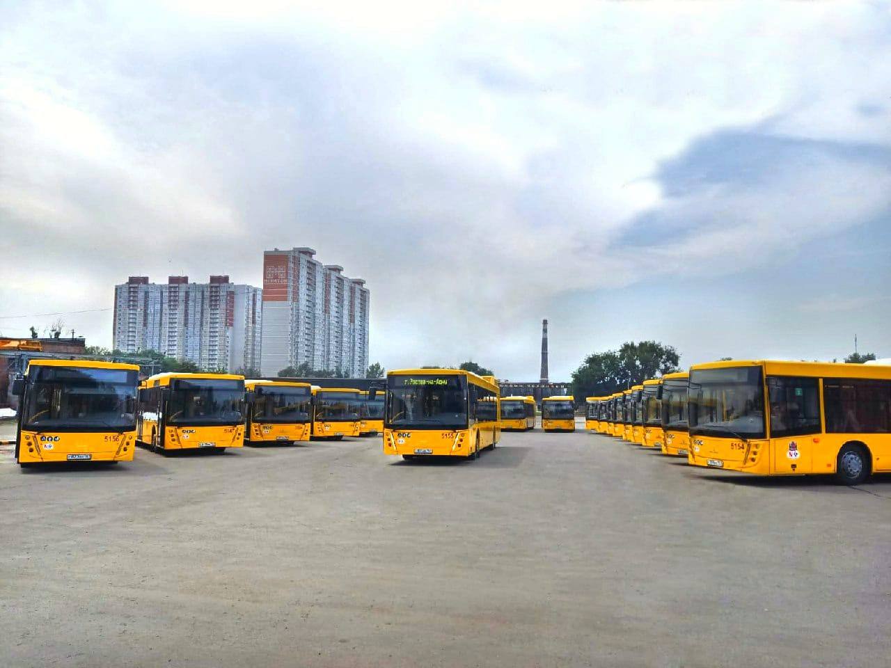С августа по Ростову-на-Дону будут ездить 147 новых автобусов