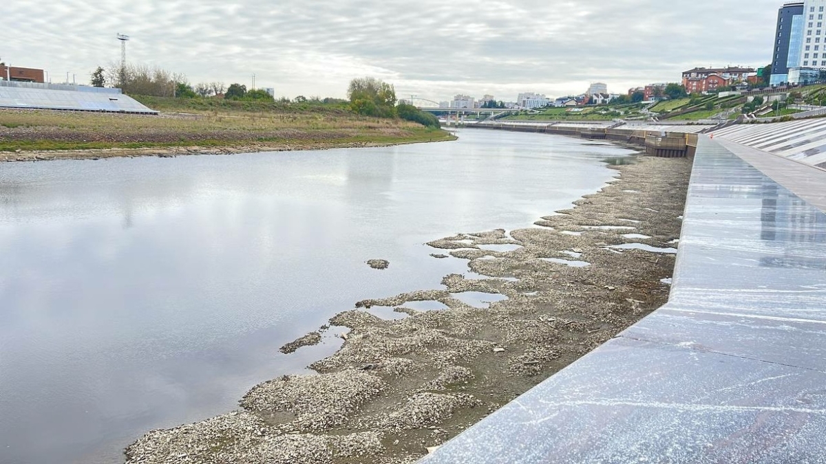 В тюменской реке Тура вновь упал уровень воды ИА SM-News Тюмень