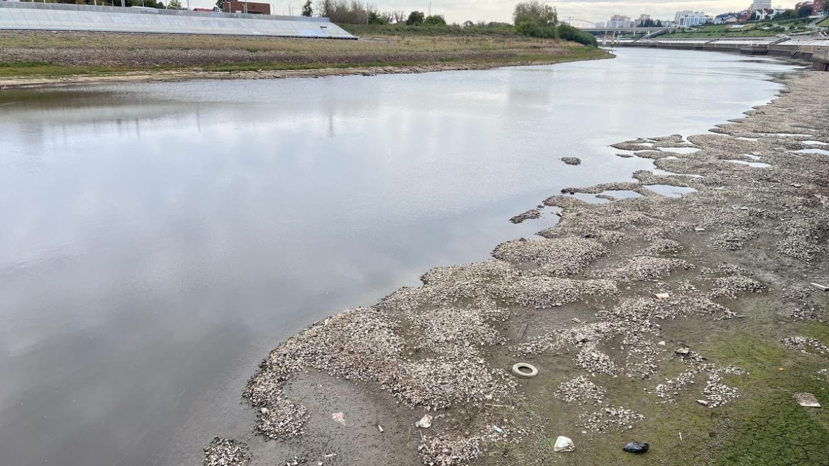 Узнайте уровень воды в реке Туре прямо сейчас: удобные графики - СНТ Бугорок