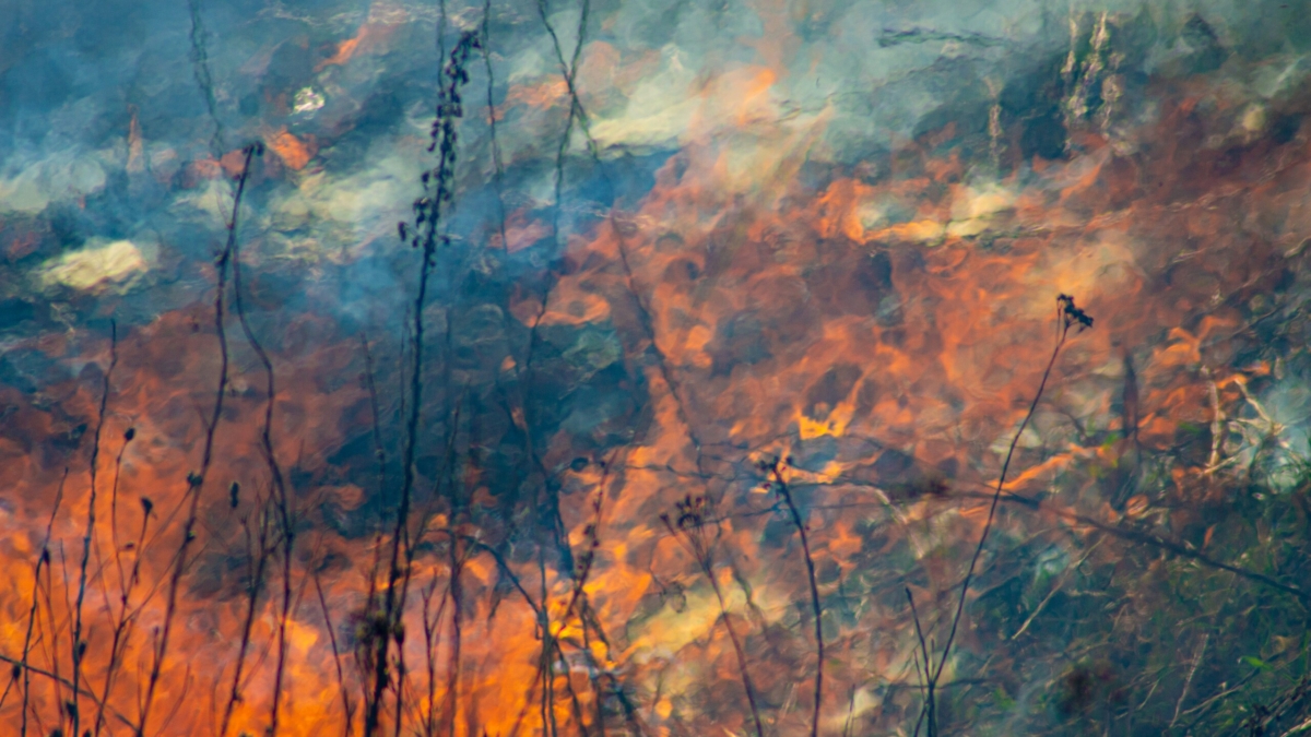 Жители Ростовской области будут слышать взрывы 8 дней ИА SM-News