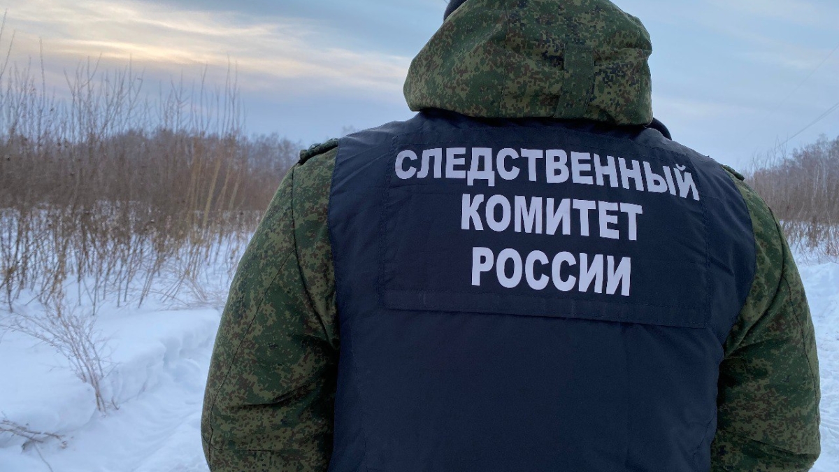Дело сельского убийцы из Тюменской области передано в суд СК по Тюменской области