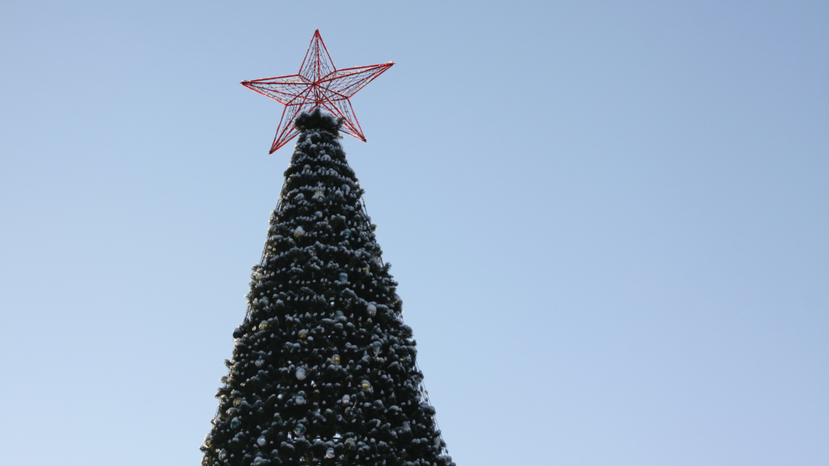 В Тюмени скоро начнут устанавливать главную новогоднюю елку ИА «Тульская пресса»