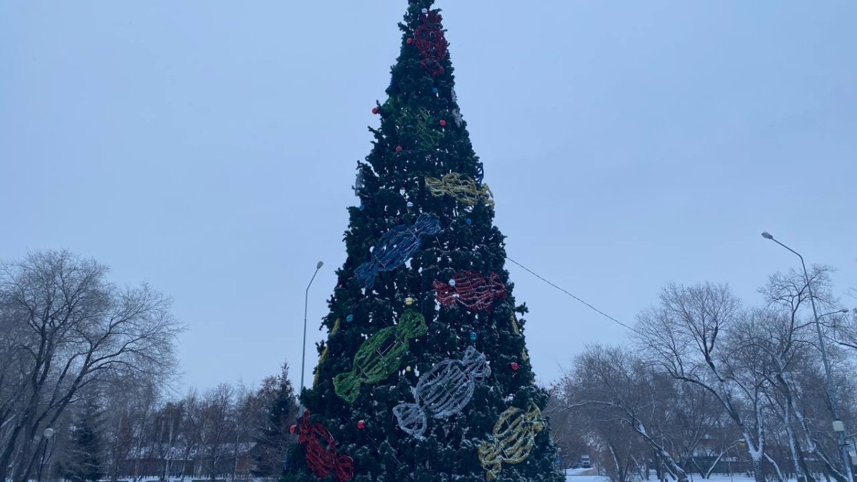 В столицу ЯНАО приехали одаренные дети региона на главную елку ИА SM.News Тюмень