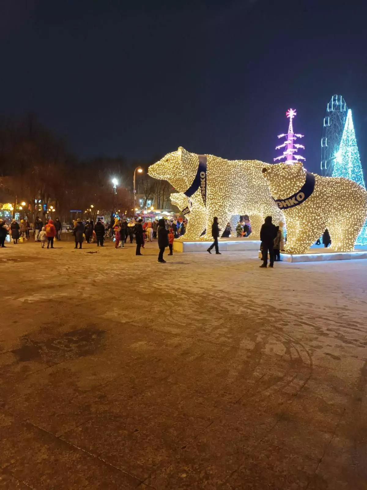 Через неделю медведи СУЭНКО покинут Тюмень