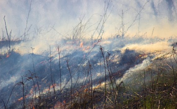 Больше месяца жители поселка Богандинский задыхаются из-за горящей свалки
