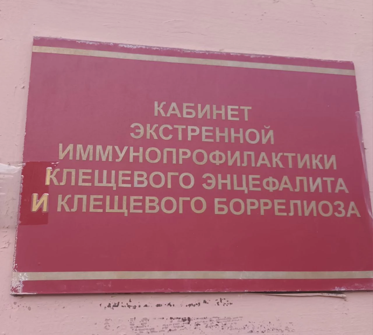 В Бердюжском районе зарегистрировали первый случай укуса клеща