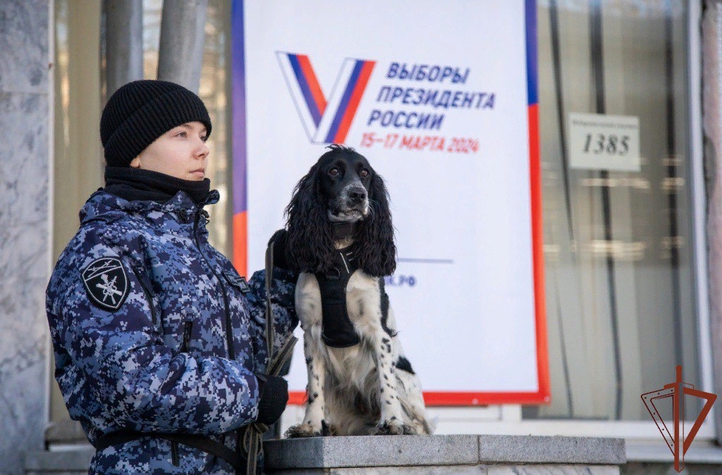 Силовики обеспечили безопасность проведения выборов на 8 000 избирательных участках в УФО Информационный центр Правительства Тюменской области