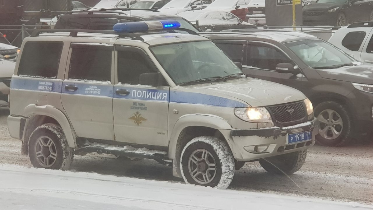 Жителя Тюмени месяц не могут найти на Алтае ИА SM-News Тюмень