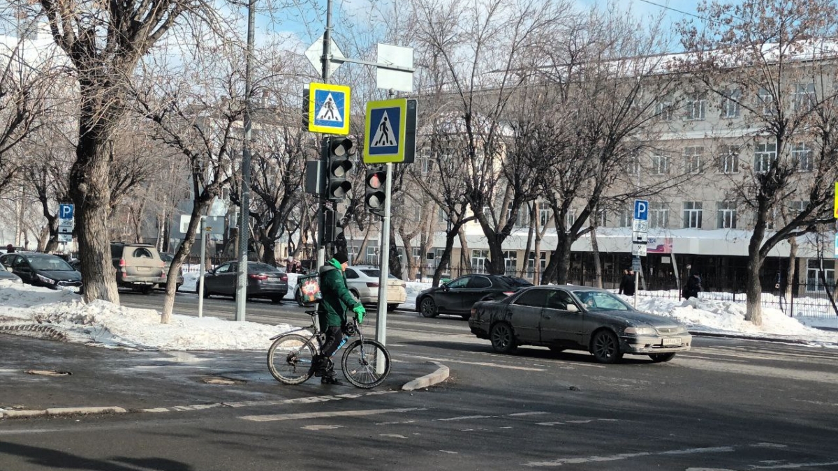 В Тюмени экс-секретарь отделения КПРФ избил собаку