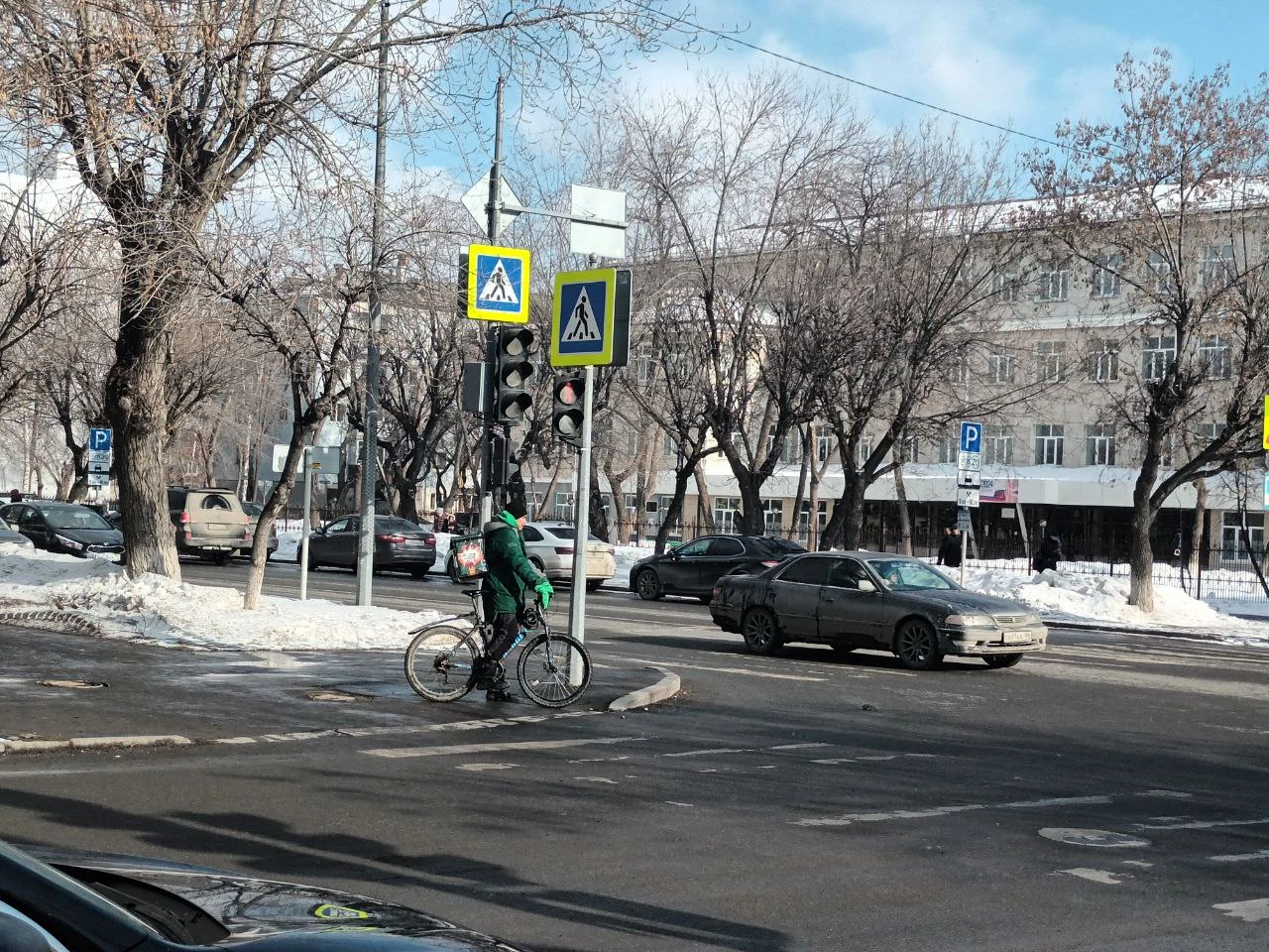 В Тюмени экс-секретарь отделения КПРФ избил собаку