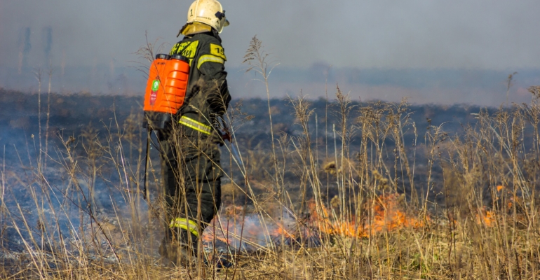 Детским лагерям в Тюменской области грозят лесные пожары