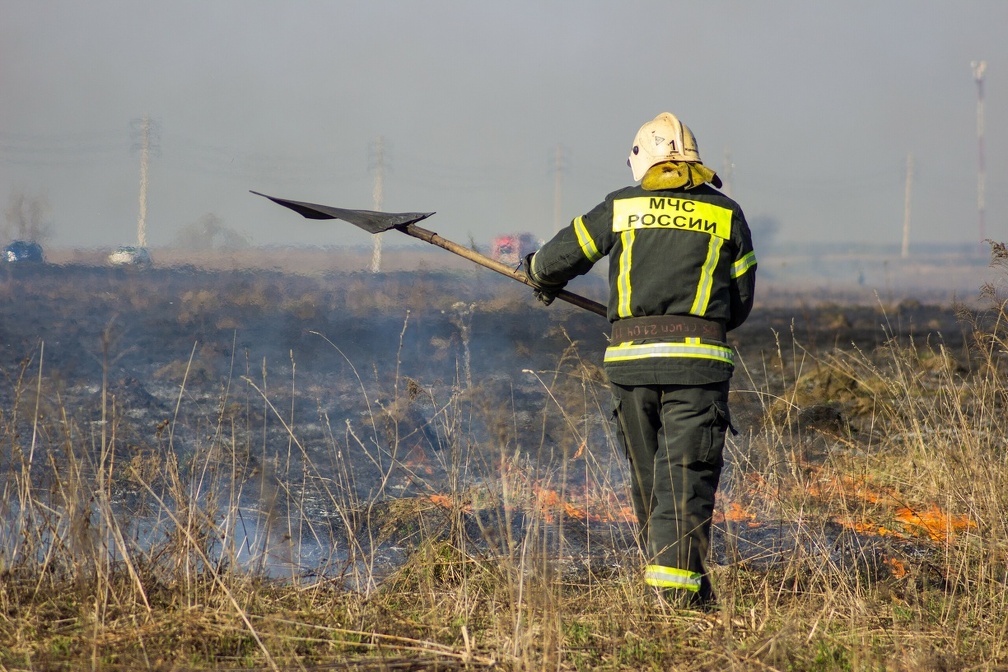 В Тюмени загорелся первый сухостой ИА SM-News