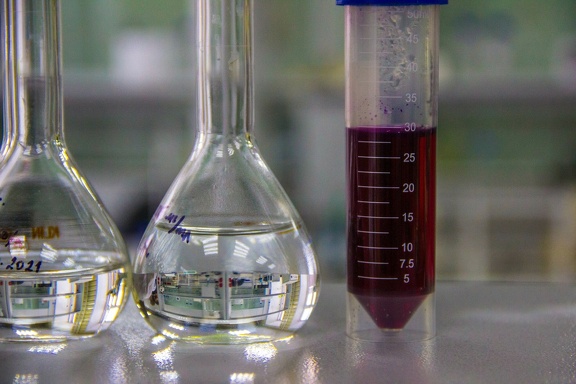 Тюменский врач объяснила, как можно улучшить жизнь с ВИЧем ИА SM-News