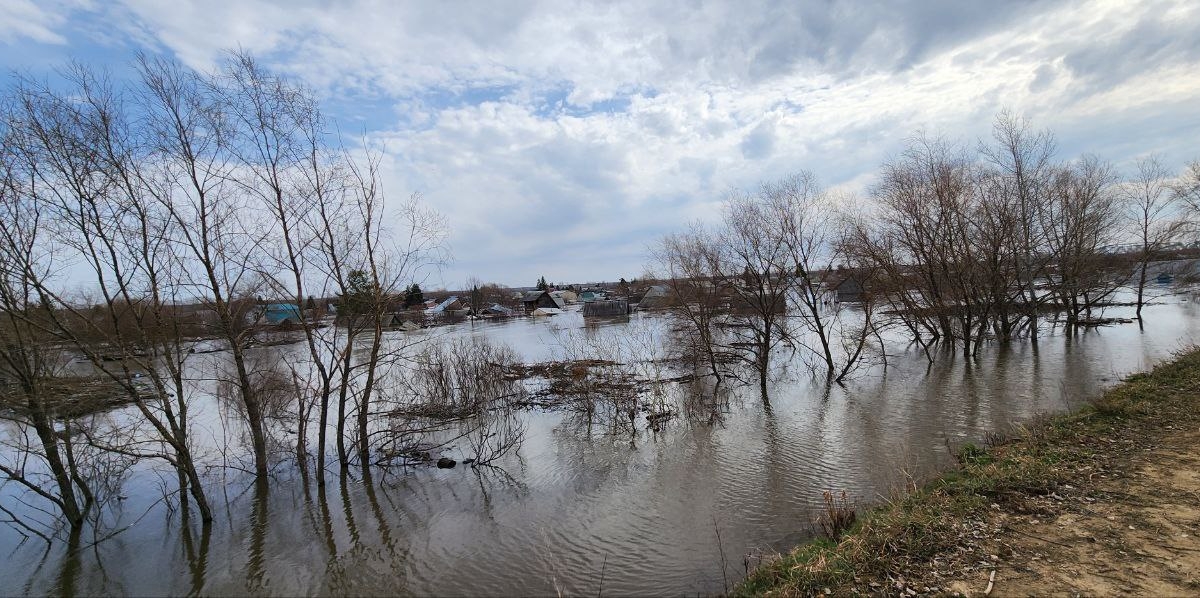 Волонтер Тимошенко показал затопленную деревню в Курганской области