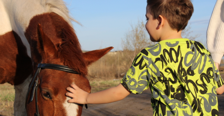 Инструктор Шум рассказала, как лошади помогают детям с инвалидностью