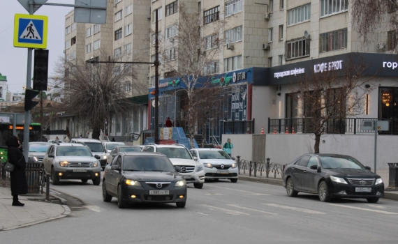 Жителям Тюменской области объяснили, что делать если на автомобиль упало дерево