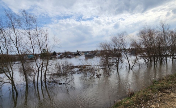 Уровень воды в реке Ишим за несколько часов поднялся на 3 см