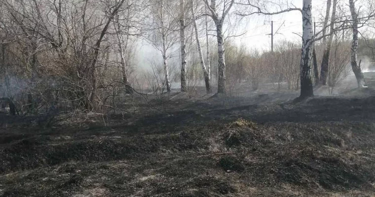 5 гектаров сухой травы загорелось в Тюменской области