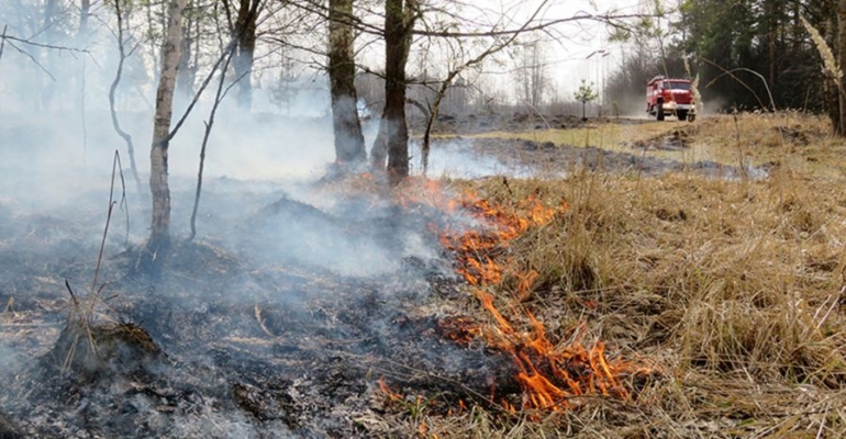 Тюменцам напомнили, что важно предотвратить возникновение лесных пожаров