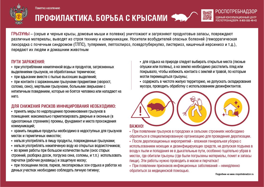 Начинается обработка от грызунов на территориях Казанского и Ишимского районов