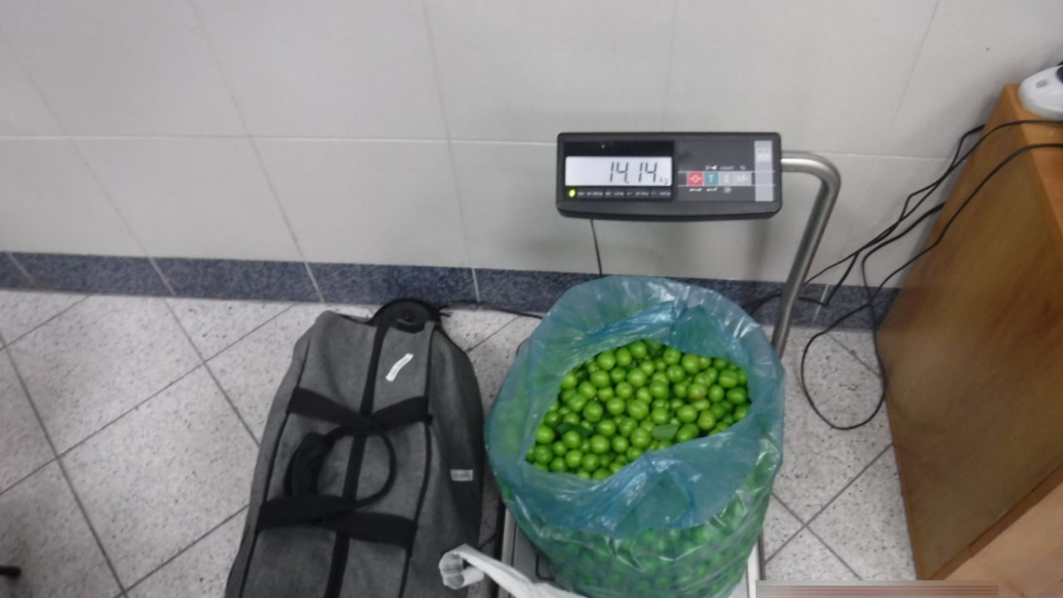 Более 10 килограммов карантинной продукции привезли в Нижневартовск из Баку Пресс-служба тюменской таможни