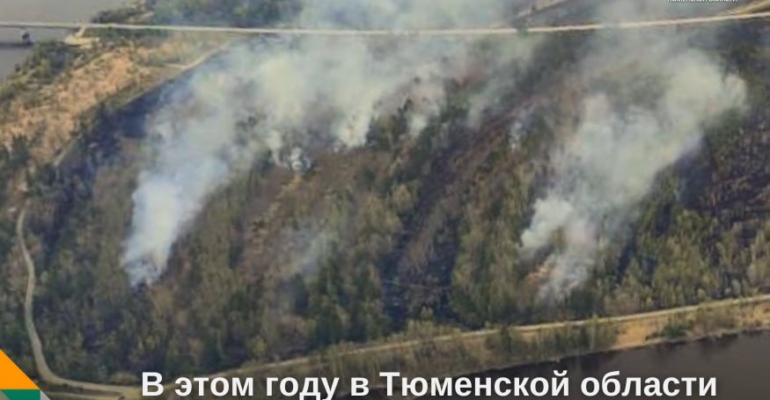 На 22 мая в Тюменской области зафиксировано 22 лесных пожара