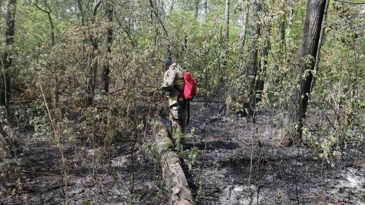 Тюменские пожарные ликвидируют природный пожар в районе Труфаново