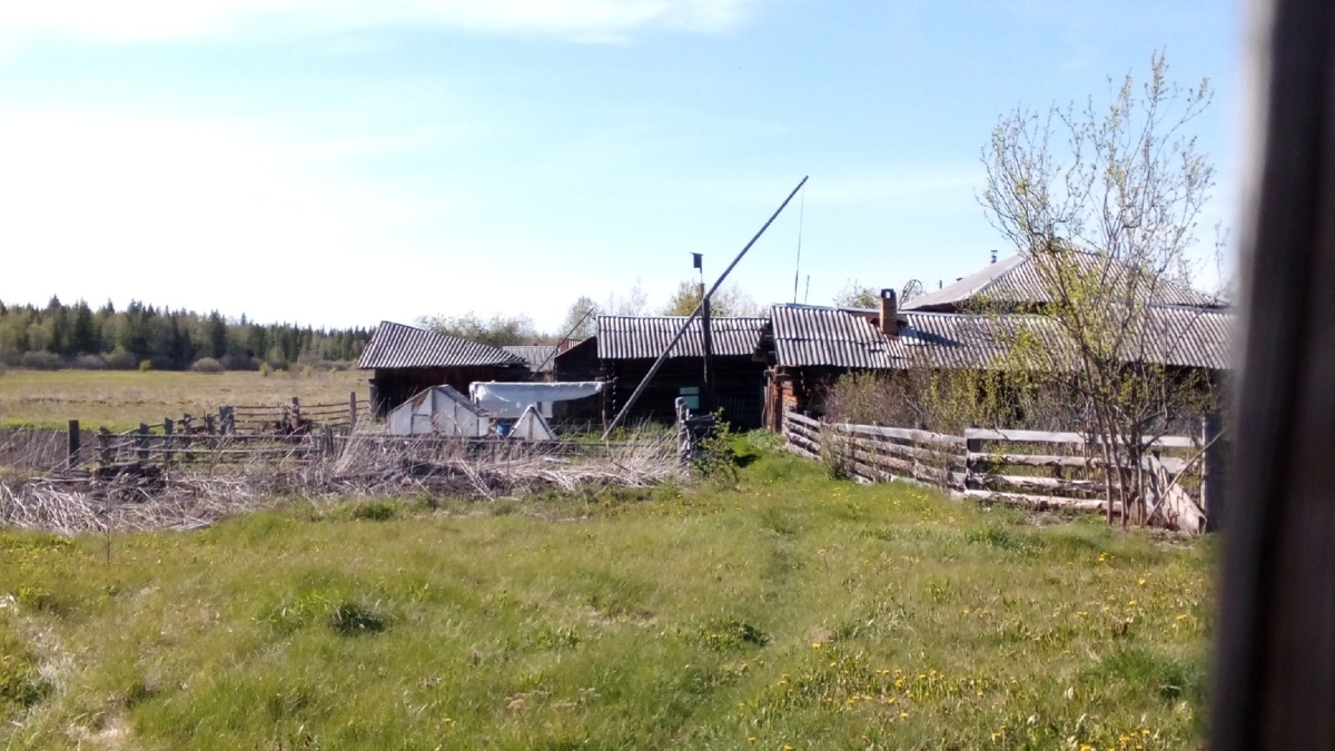 В Тюмени соседи травят собак из приюта