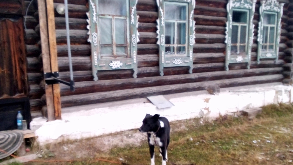 Личный архив Натальи Петровой