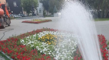 В Тюмени в сильную жару поливают городские деревья и кустарники