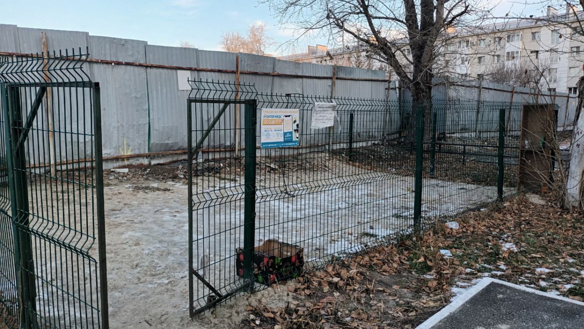 В Тюмени бойцовская собака загрызла на глазах у ребенка шпица ИА SM-News Тюмень