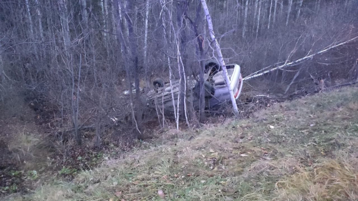 ГИБДД Тюменской области