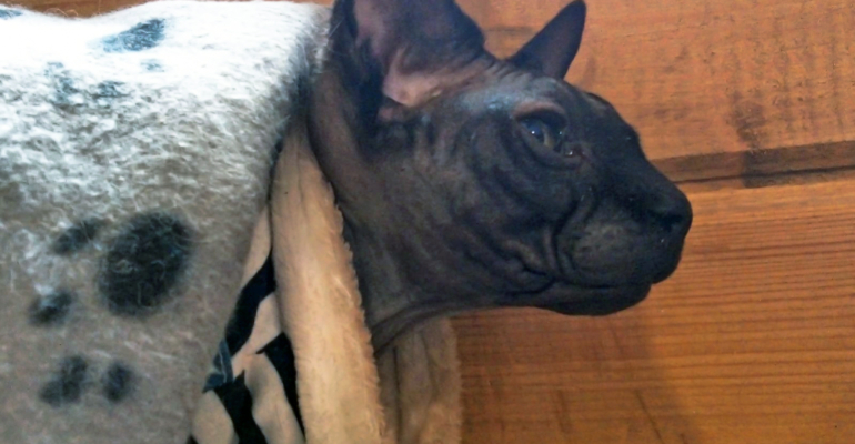 Стало известно, как выбрать выгодный обогреватель в 2025 году Стало известно, как выбрать выгодный обогреватель в 2025 году