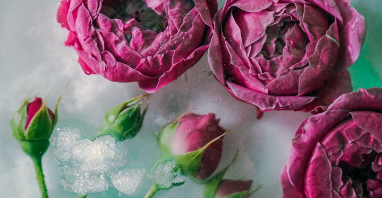 Потенциальная опасность ароматизаторов и их натуральные заменители Потенциальная опасность ароматизаторов и их натуральные заменители