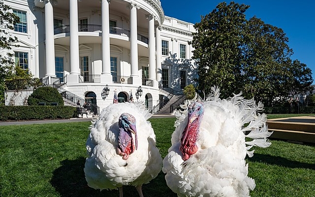 Китаист Вавилов: Трамп потерпел поражение в конфронтации с Пекином Китаист Вавилов: Трамп потерпел поражение в конфронтации с Пекином