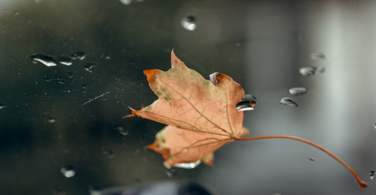 30 октября - День жертв политических репрессий, профессиональные праздники 30 октября - День жертв политических репрессий, профессиональные праздники