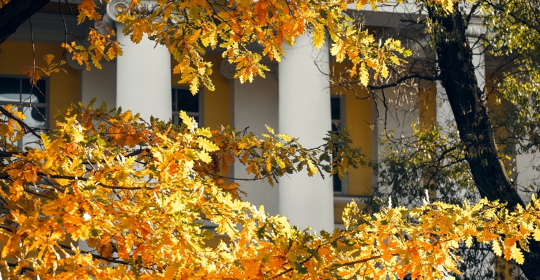 Код апостола Луки: 5 правил для здоровья и удачи в последний день октября