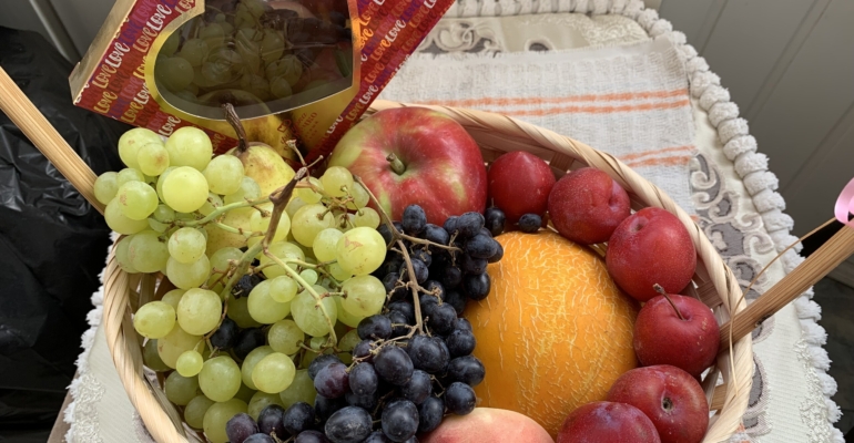 Крупноплодные сорта сливы и секреты их выращивания Крупноплодные сорта сливы и секреты их выращивания