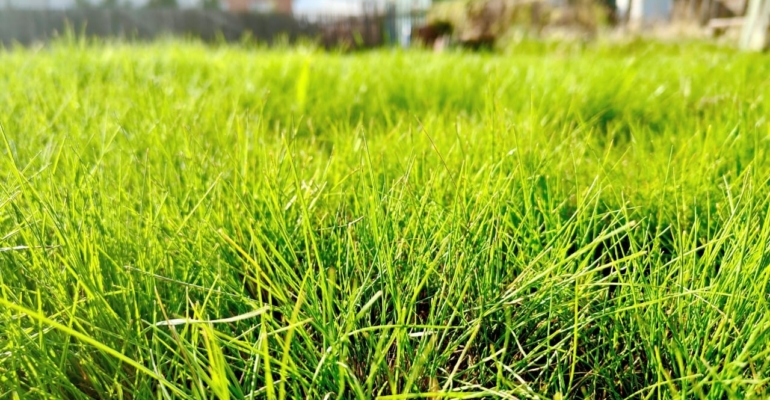 Советские привычки вновь становятся актуальными в 2025 году Советские привычки вновь становятся актуальными в 2025 году