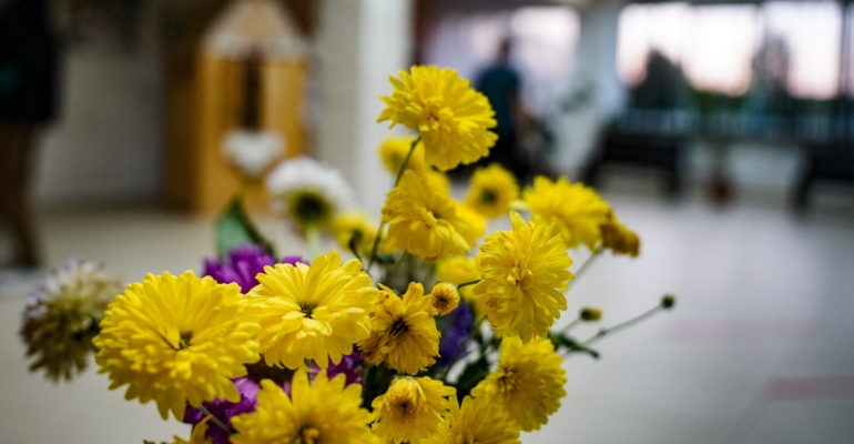 Осеннее колдовство: как из обрезков хризантемы вырастить целую клумбу к весне Осеннее колдовство: как из обрезков хризантемы вырастить целую клумбу к весне