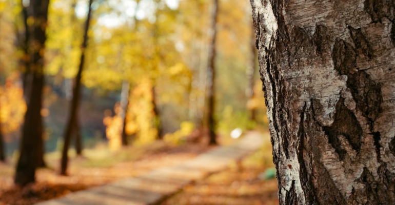 Тамара Глоба раскрыла знаки-фавориты и тех, кого ждет испытание в ноябре-2025