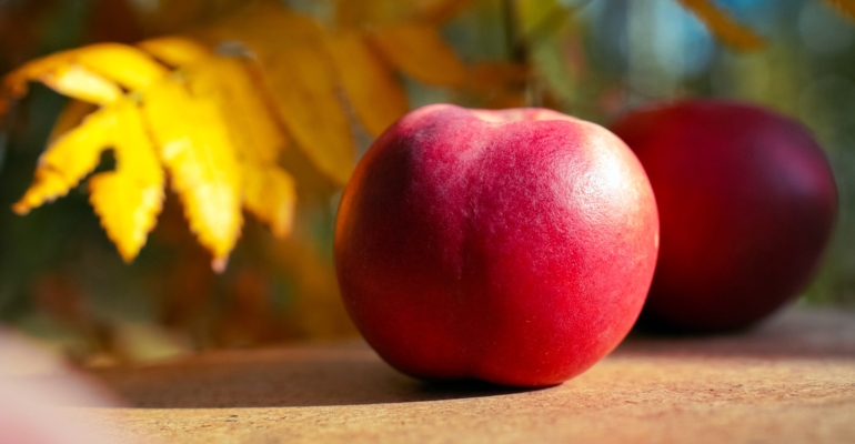 Палитра ноября-2025: цветовые ключи к вашим деньгам и любви